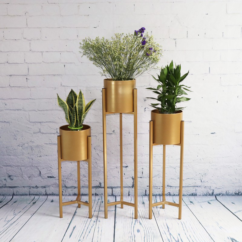 انواع نگهدارنده برای پرورش گیاهان